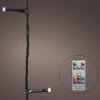 33 FT 100 LED Dancing Warm White & Color Changing Green Wire With Remote Control 1 33 FT 100 LED Dancing Warm White & Color Changing Green Wire With Remote Control -The Christmas Palace 8720093266757